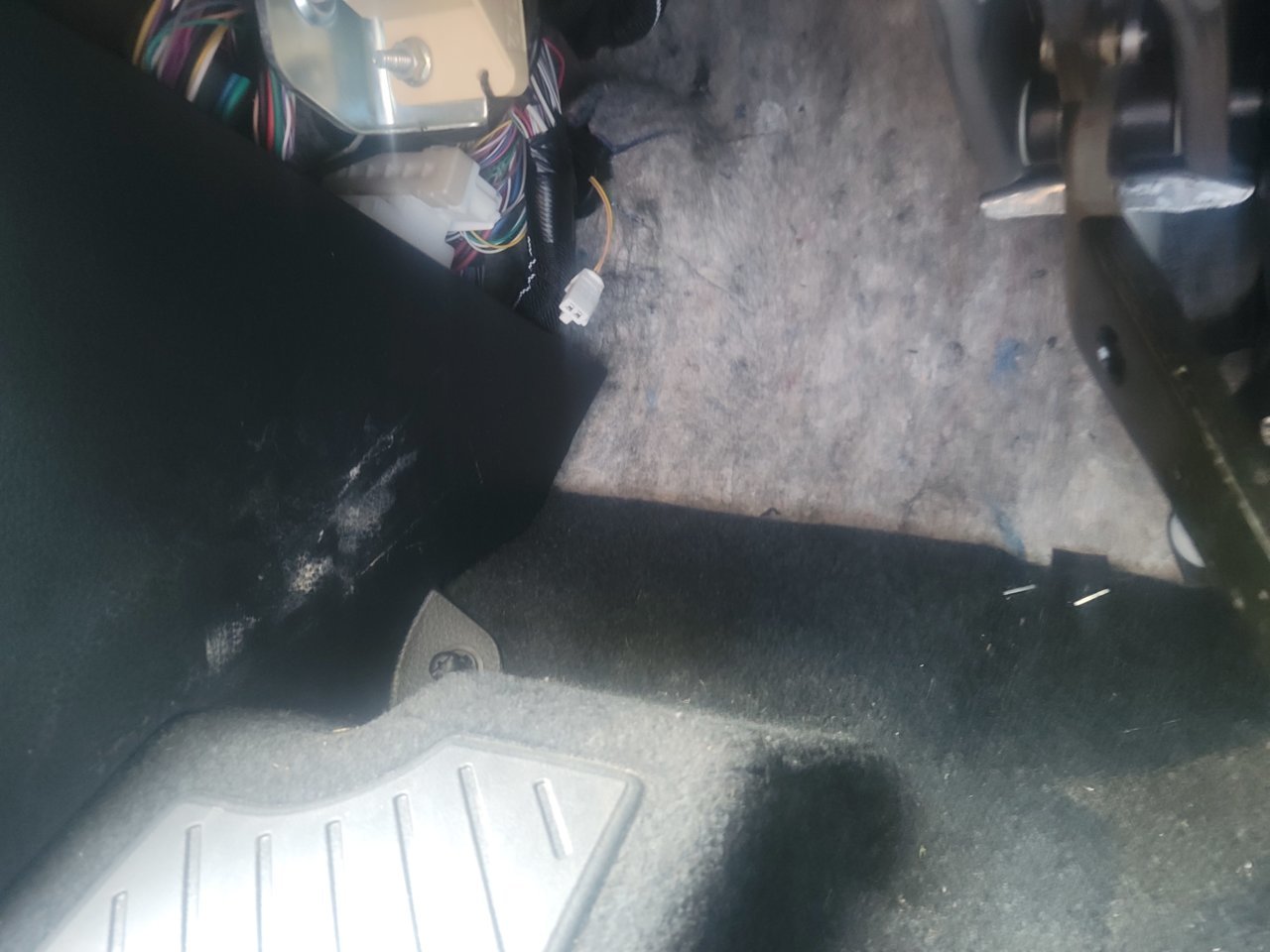20230526_183121.jpg