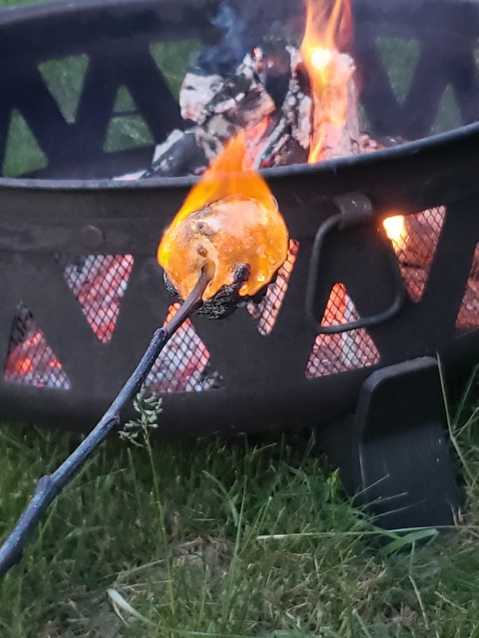 20230527_203053.jpg