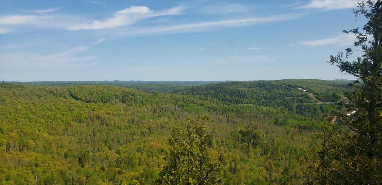20230529_104550.jpg