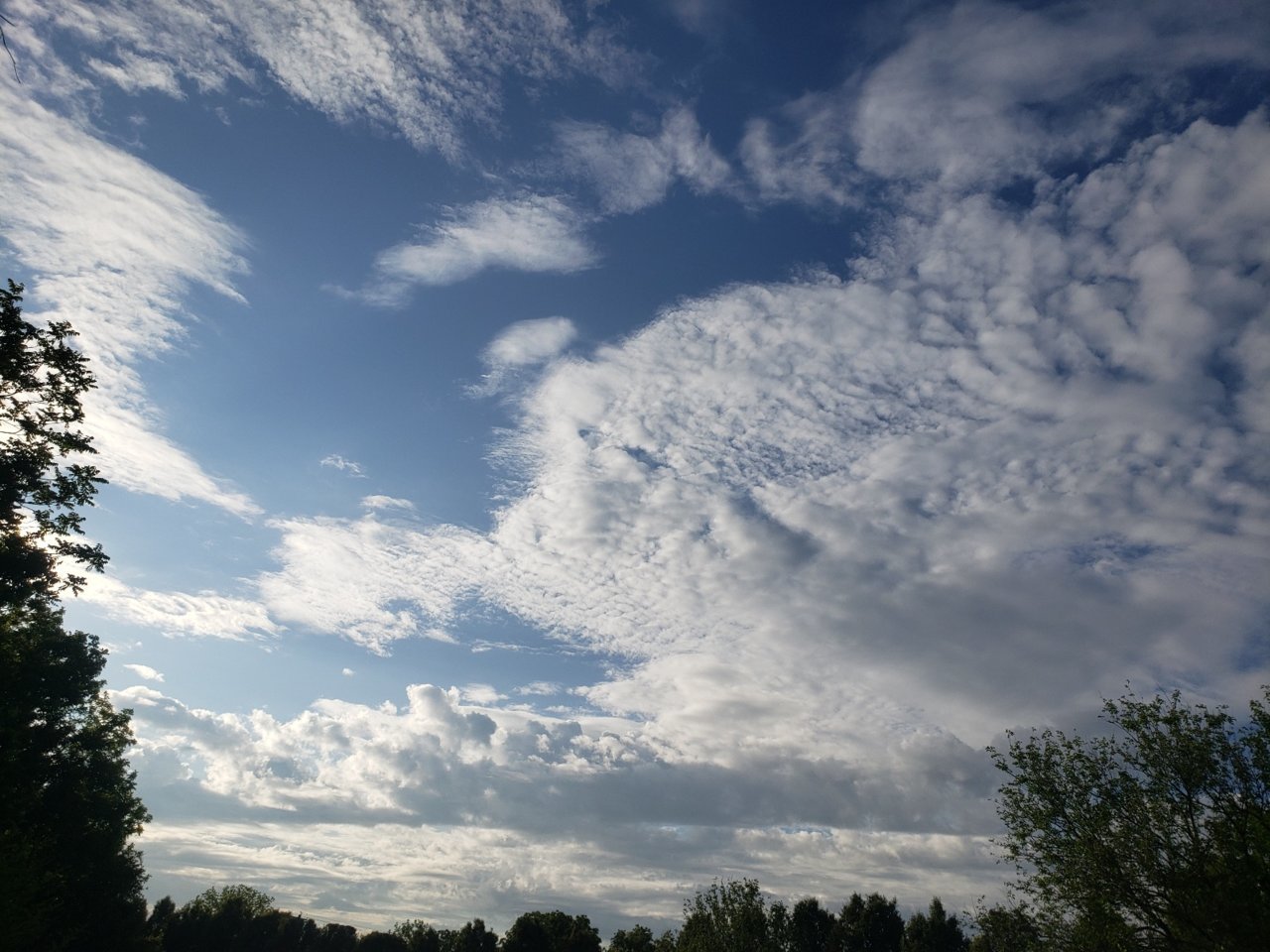 20230529_185538.jpg