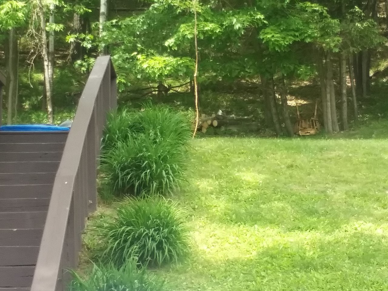 20230530_135021.jpg