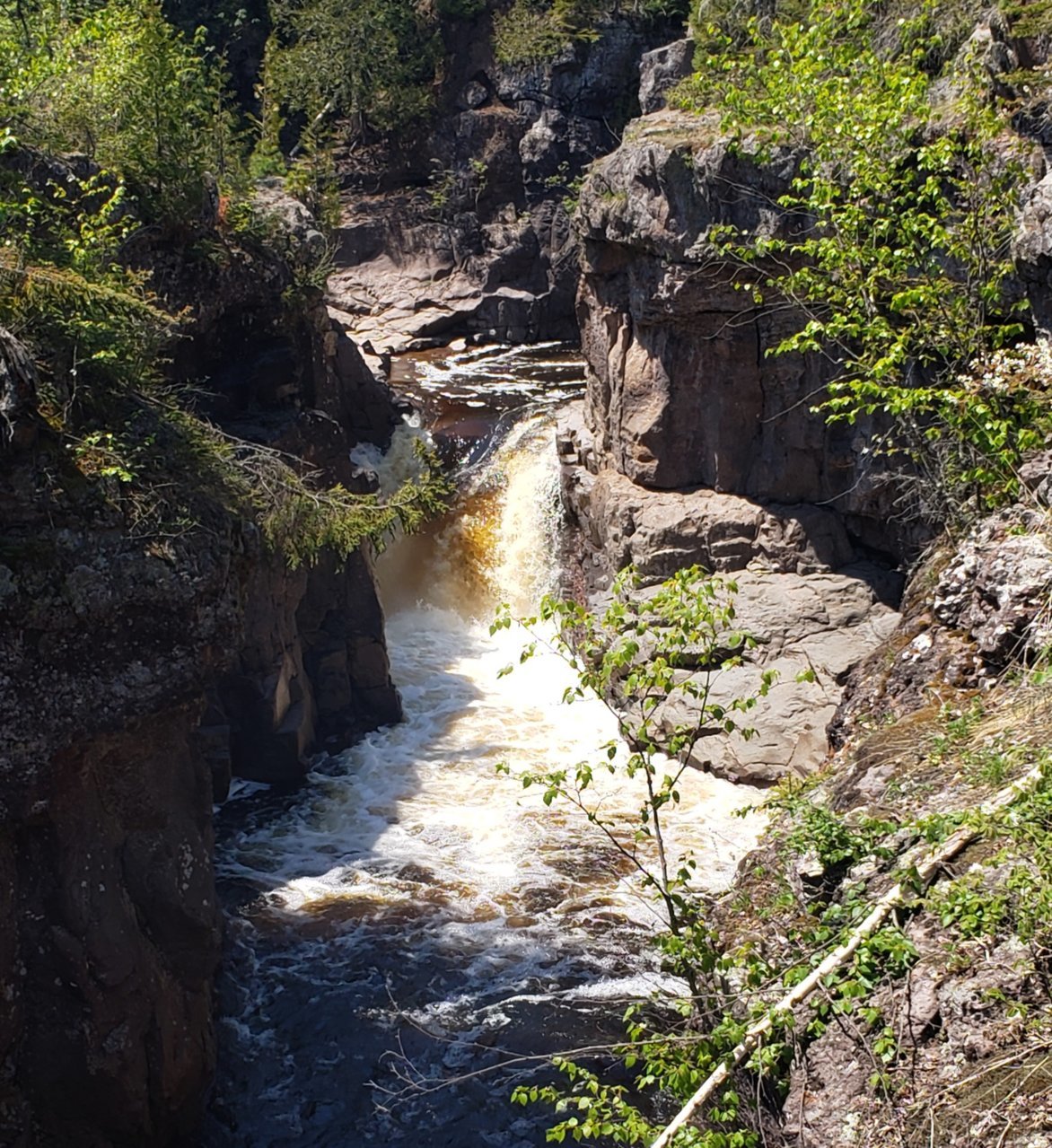 20230531_195022.jpg