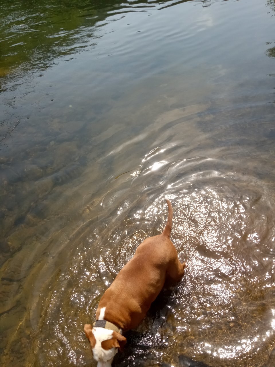 20230605_104155.jpg