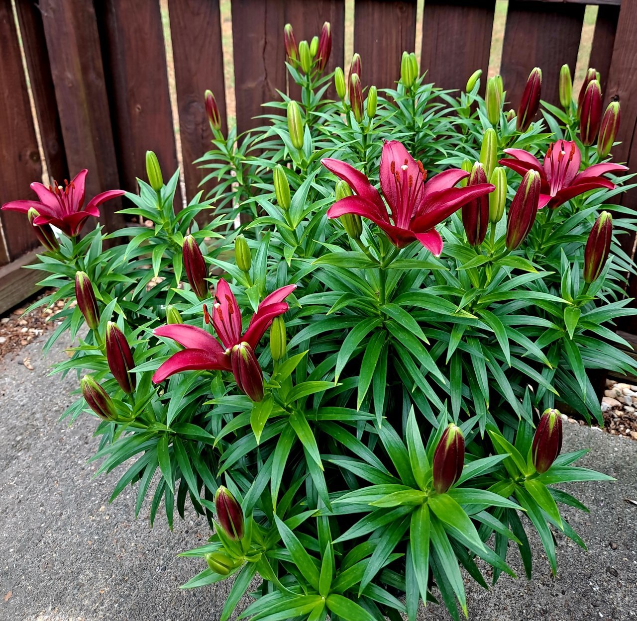 20230607_162351.jpg