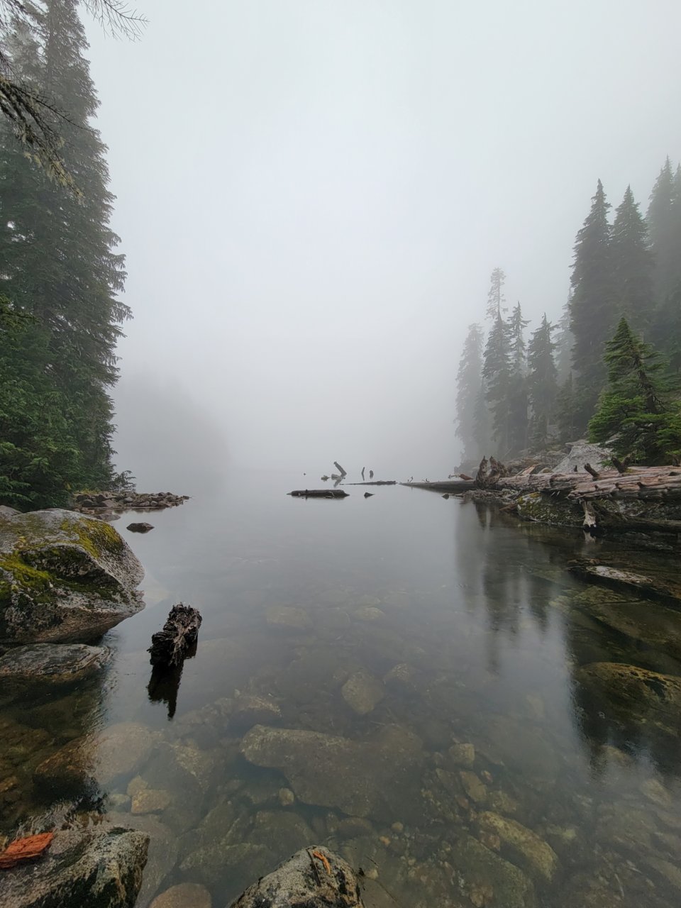 20230609_182726.jpg