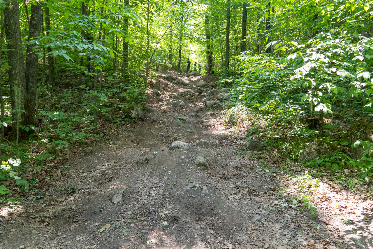 20230610-tacoBearpawOffroading-03.jpg