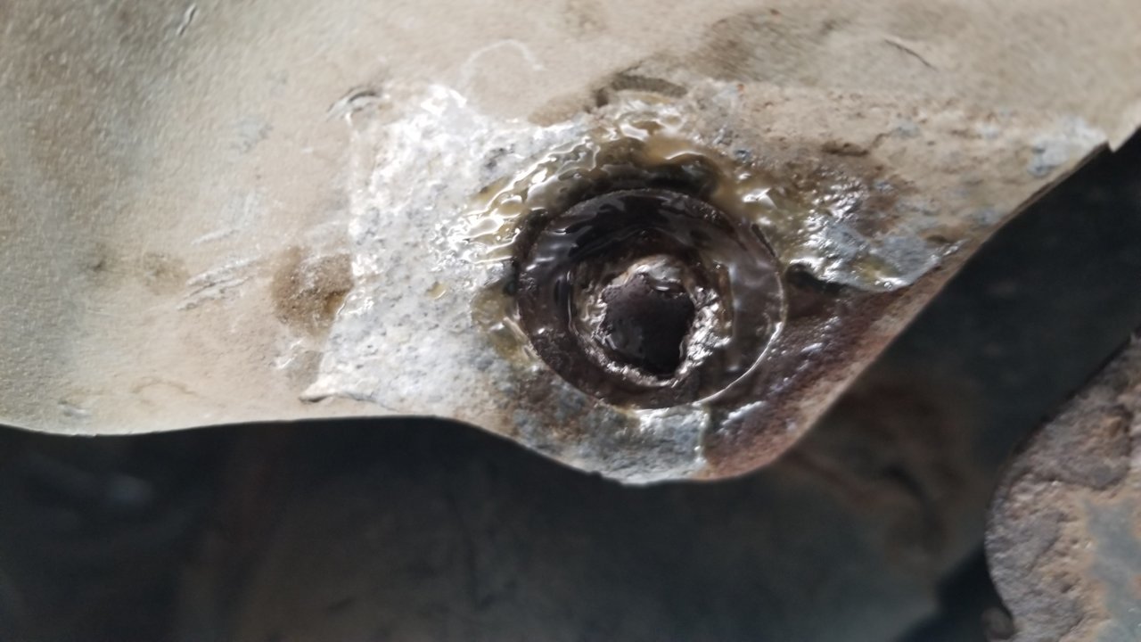 20230611_134921.jpg