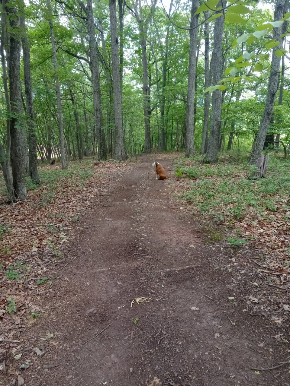 20230613_113914.jpg