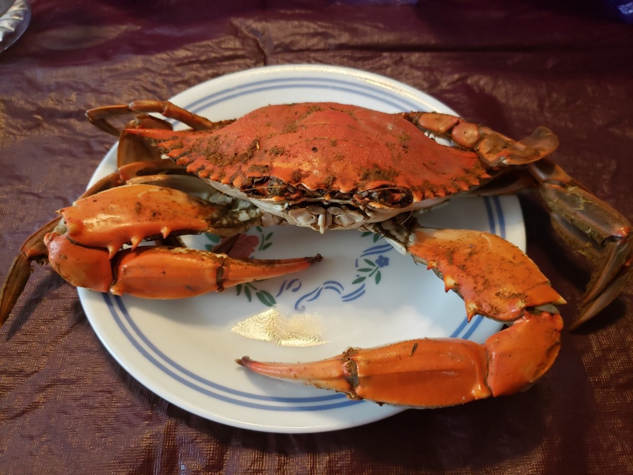 20230613_170633.jpg
