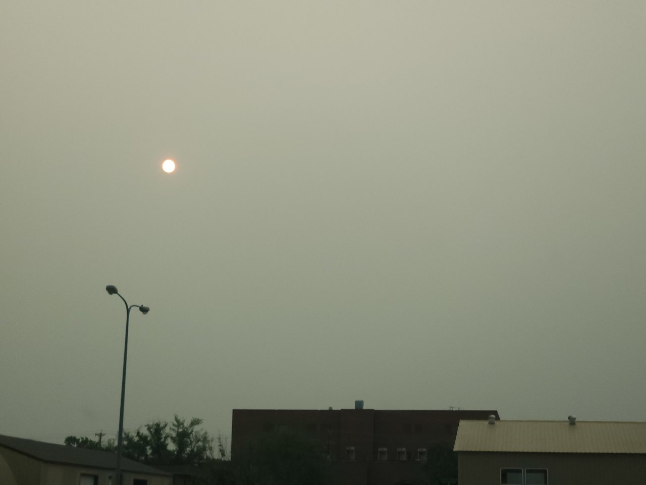 20230614_072133.jpg