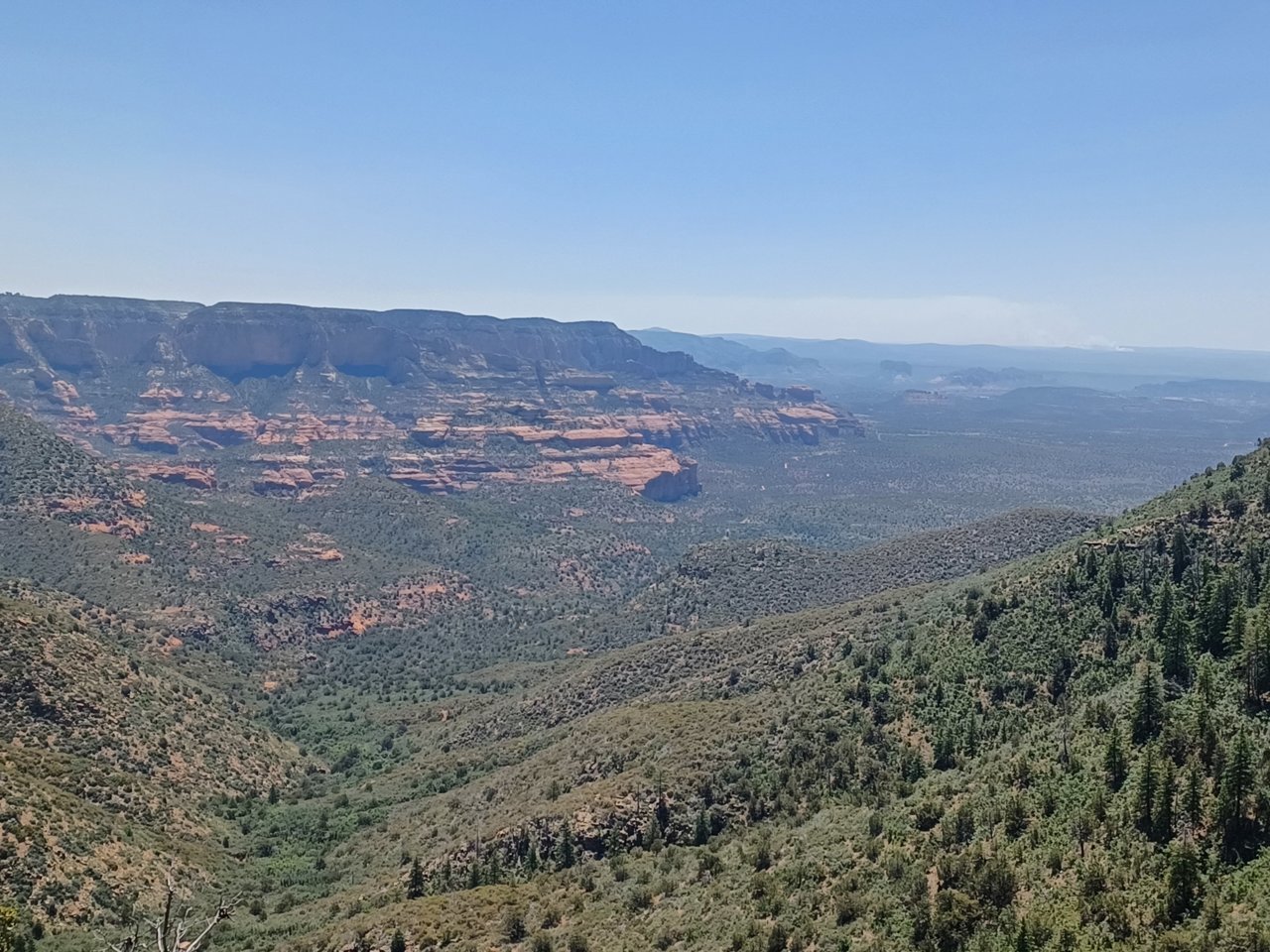 20230615_111238.jpg