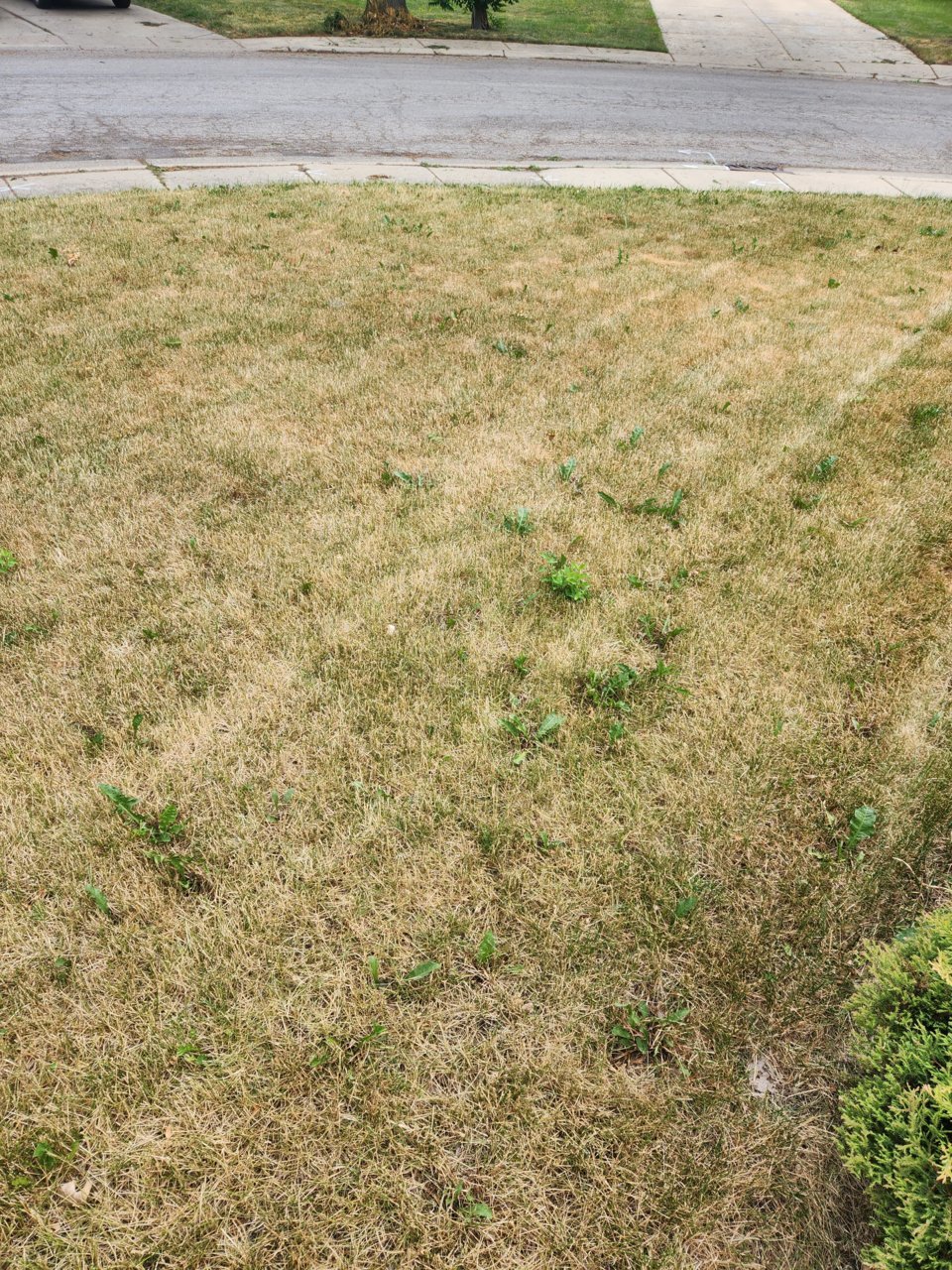 20230616_100548.jpg
