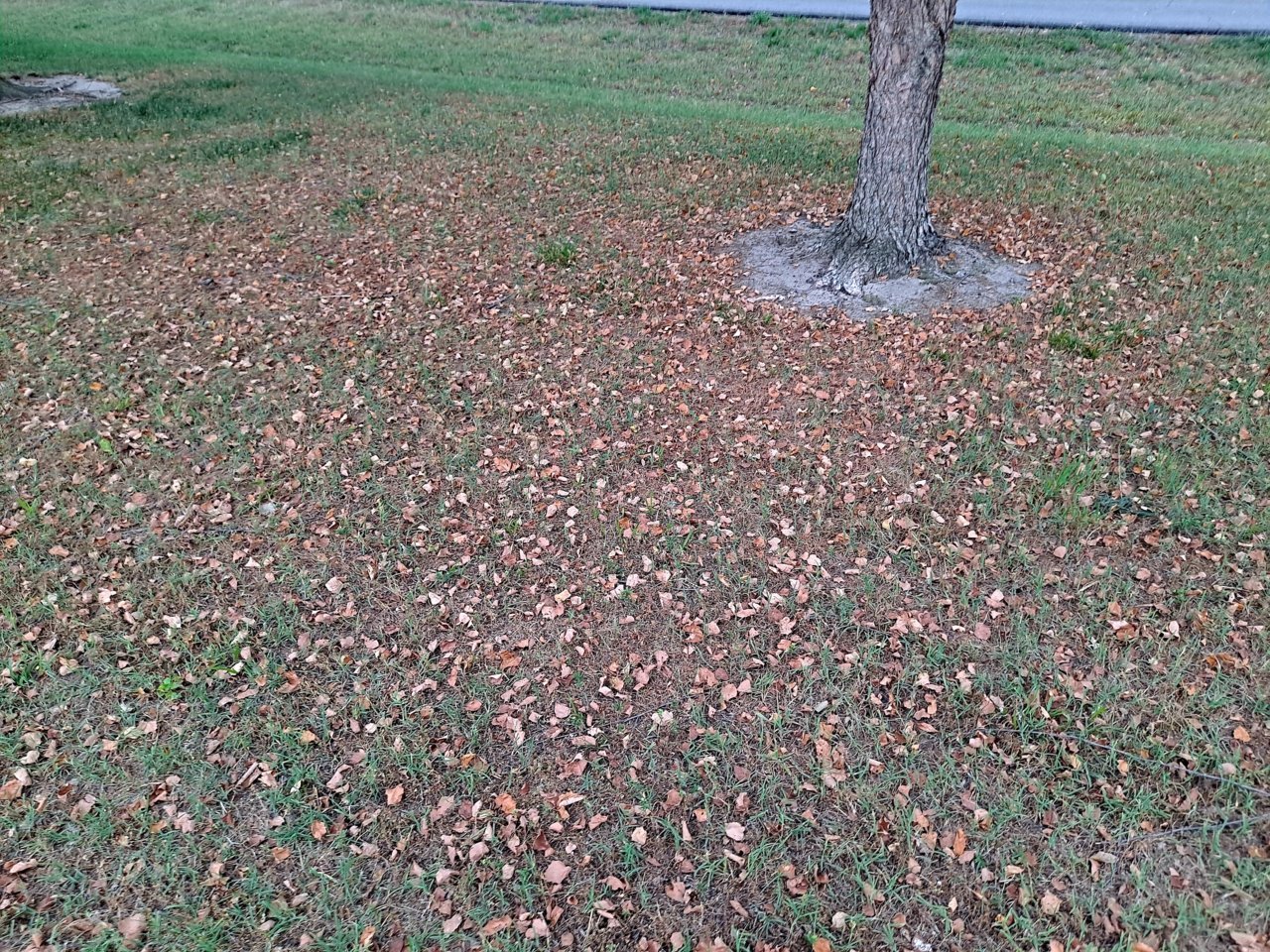 20230616_193426.jpg