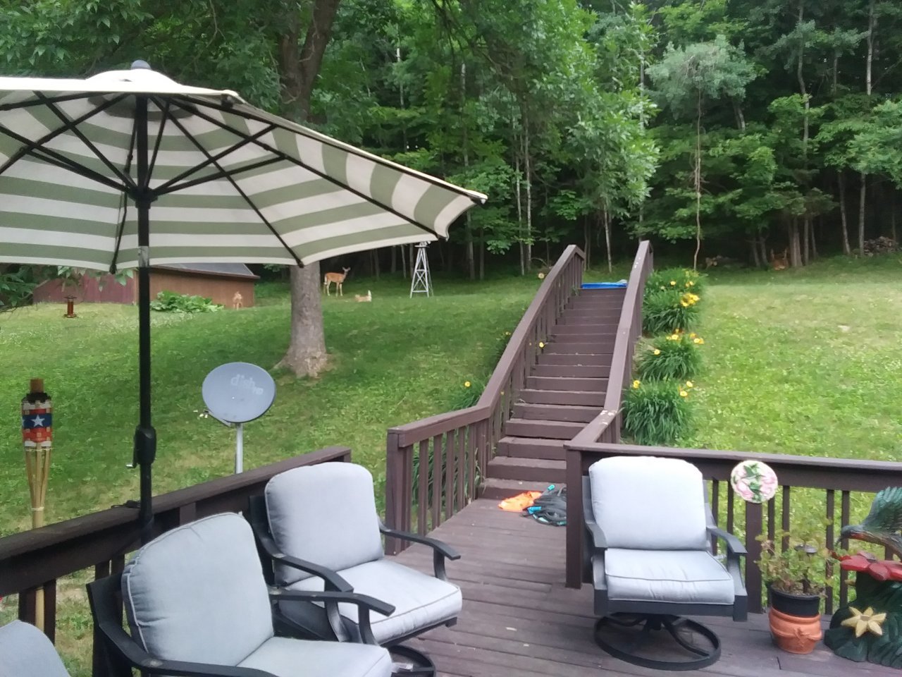 20230618_055903.jpg