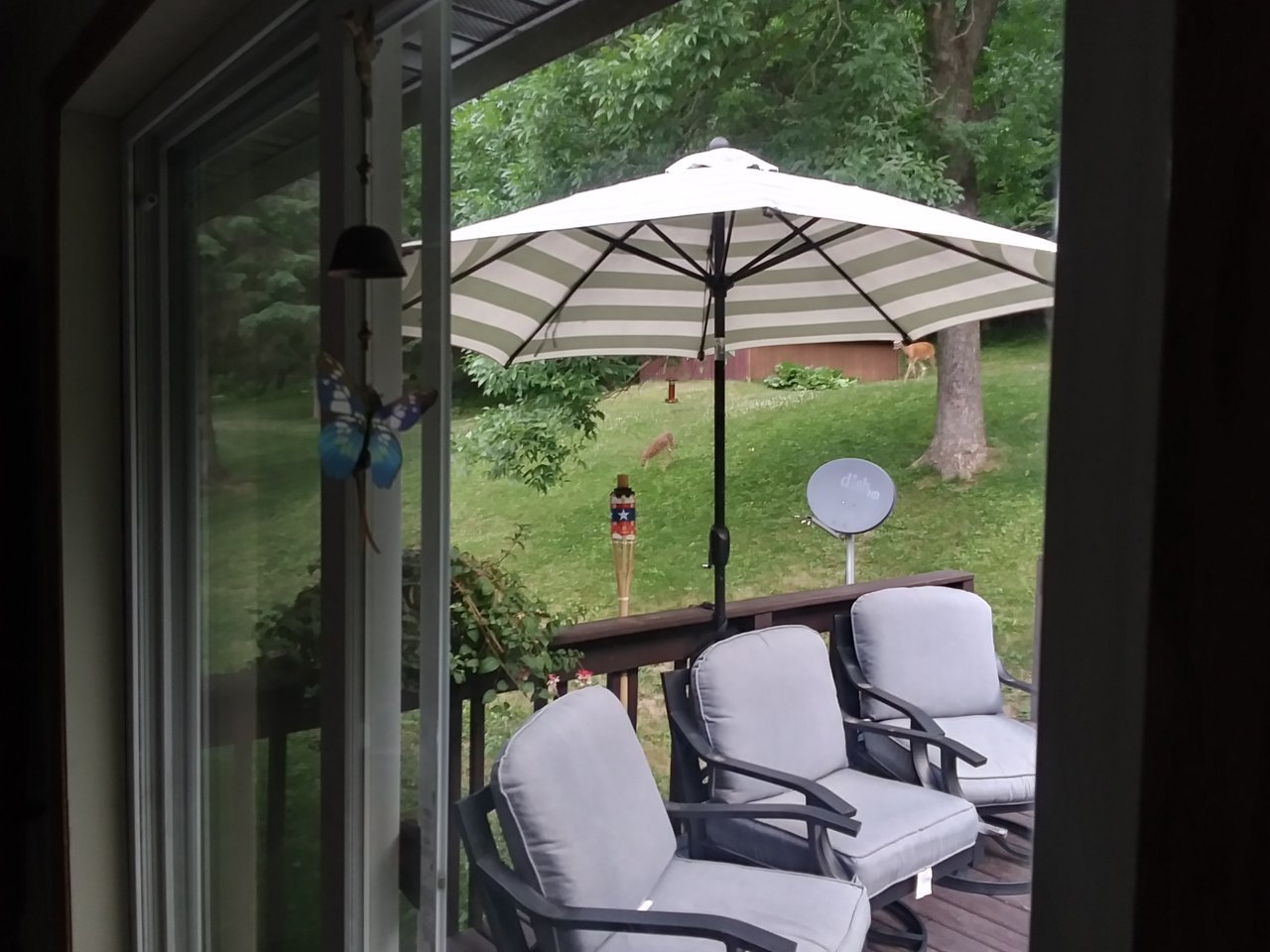 20230618_060124_HDR.jpg