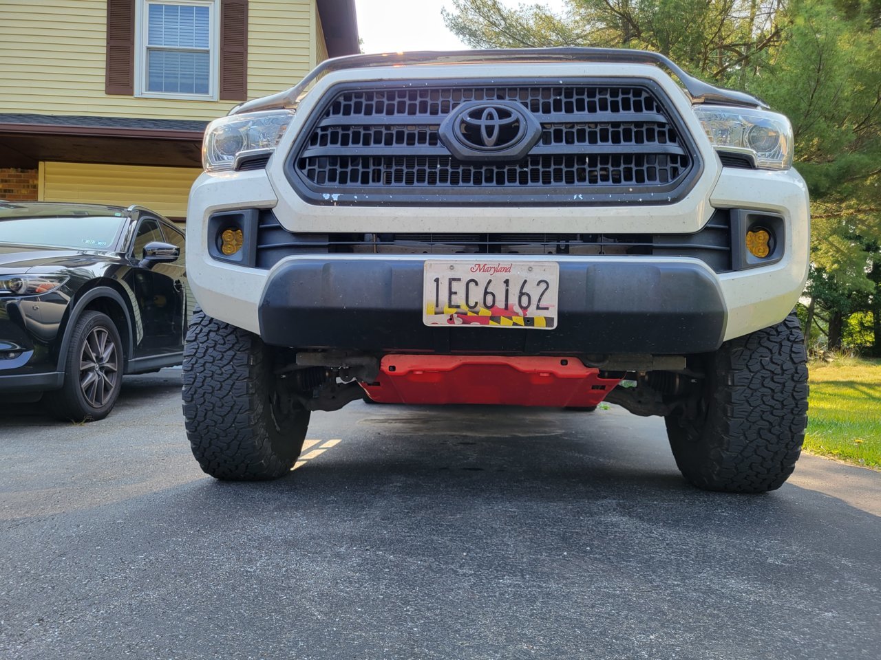20230618_084458.jpg