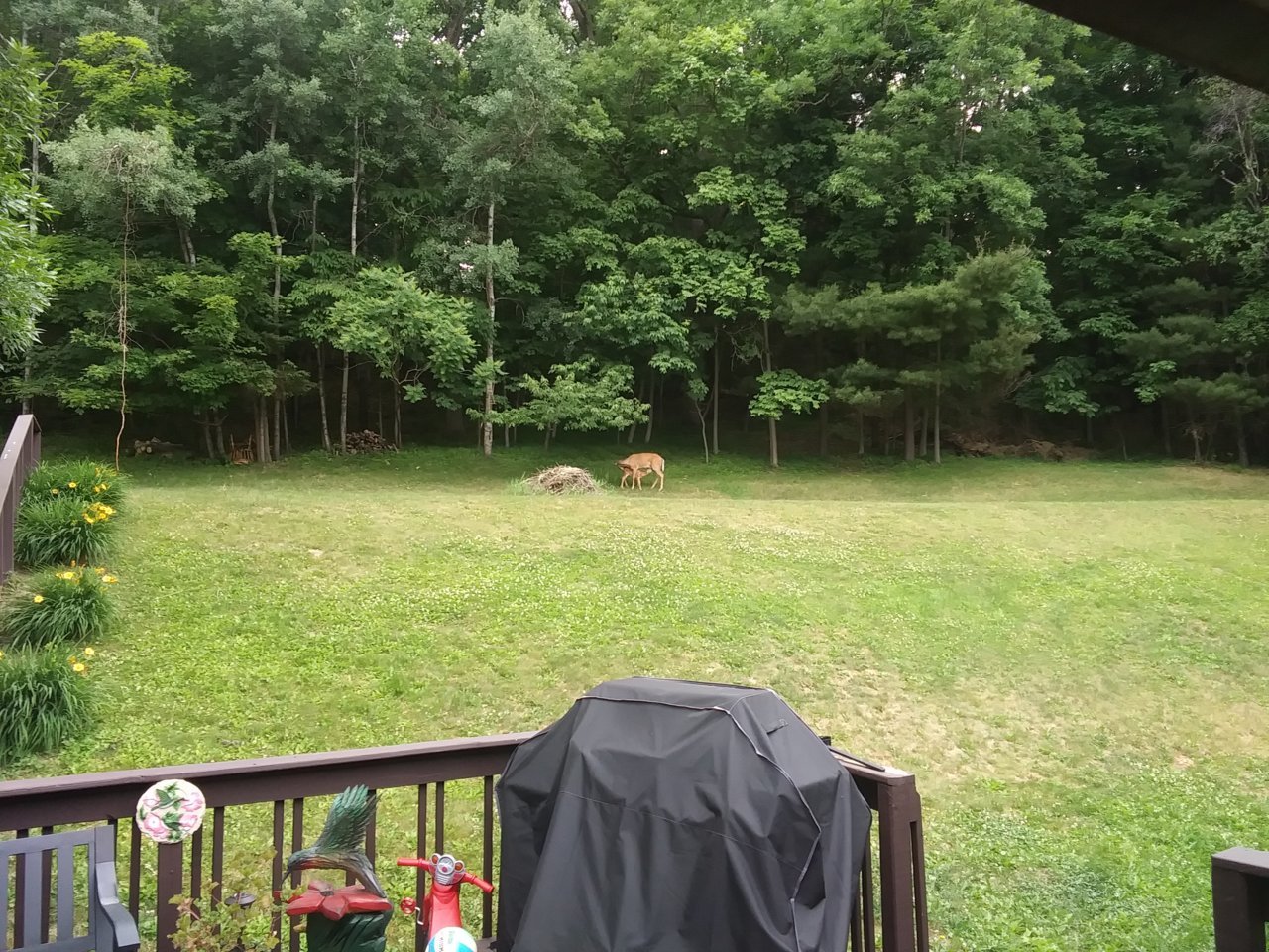 20230618_102544.jpg
