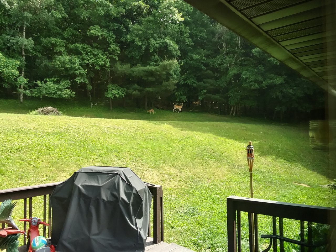 20230619_101924_HDR.jpg