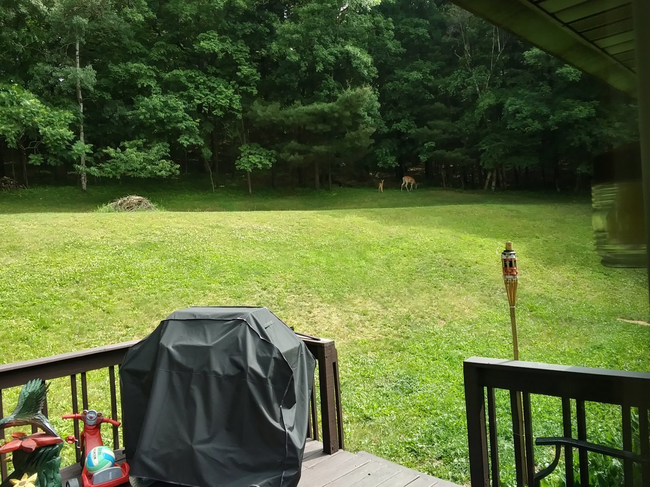 20230619_101947_HDR.jpg