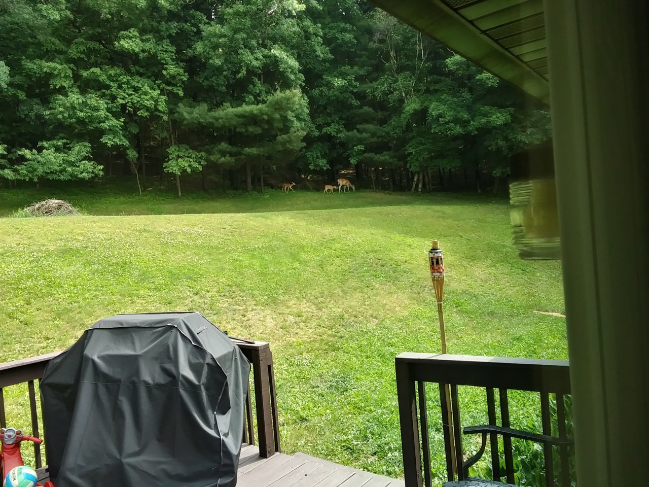 20230619_101953_HDR.jpg