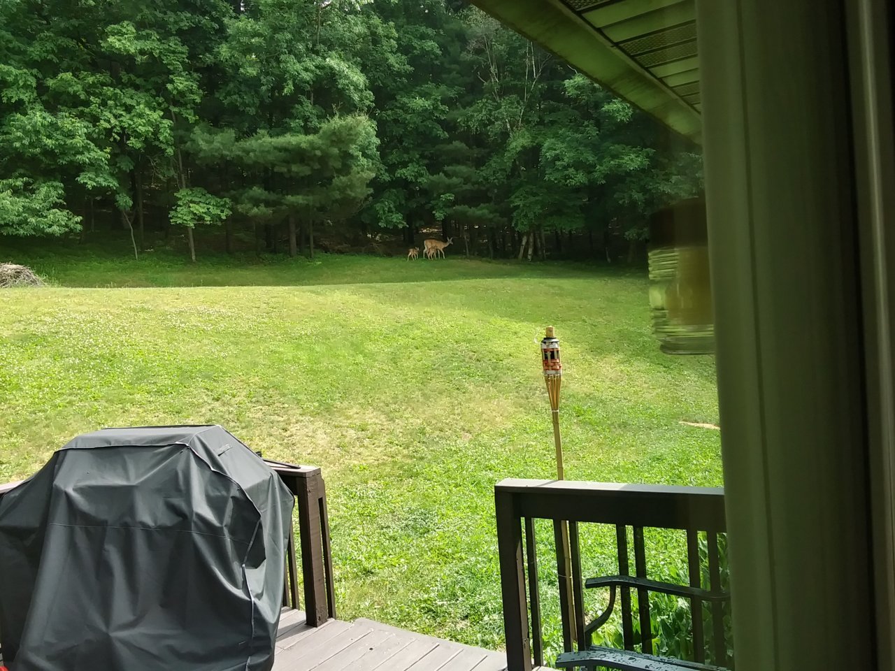 20230619_101957_HDR.jpg