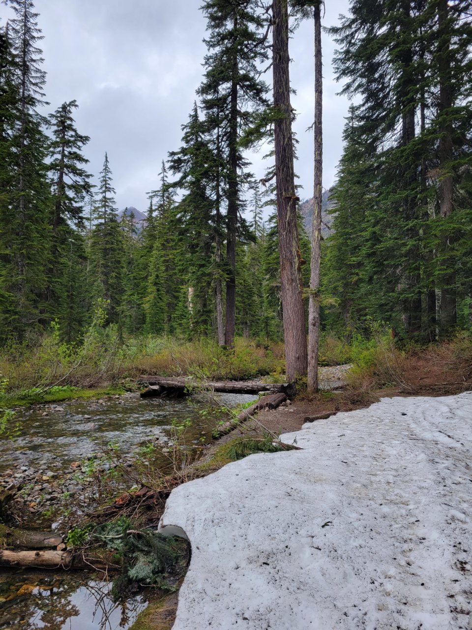 20230619_181236.jpg