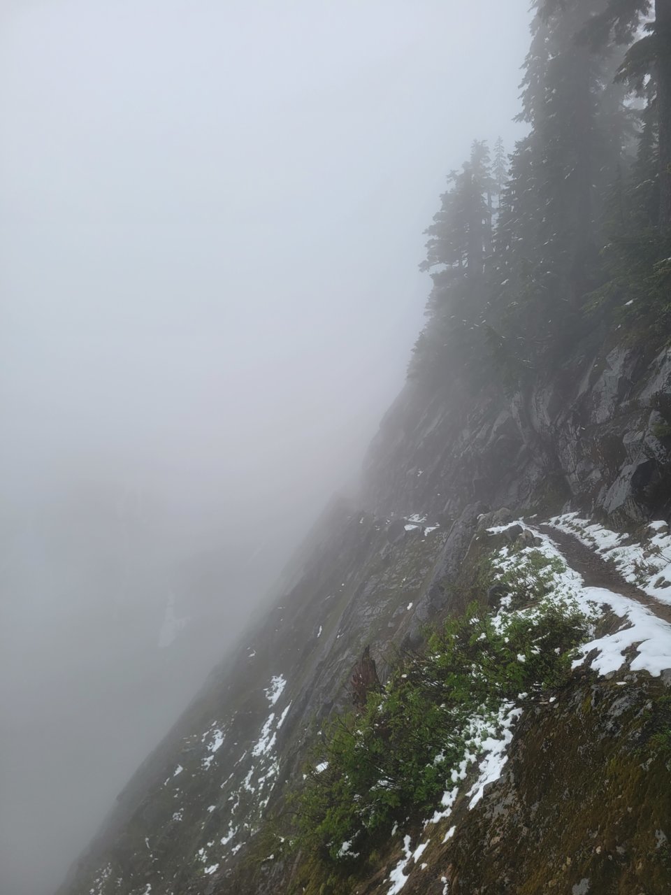 20230619_195123.jpg