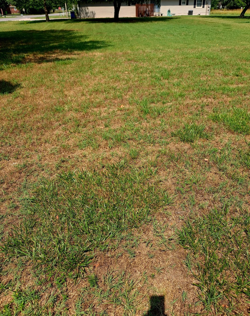 20230620_105559.jpg