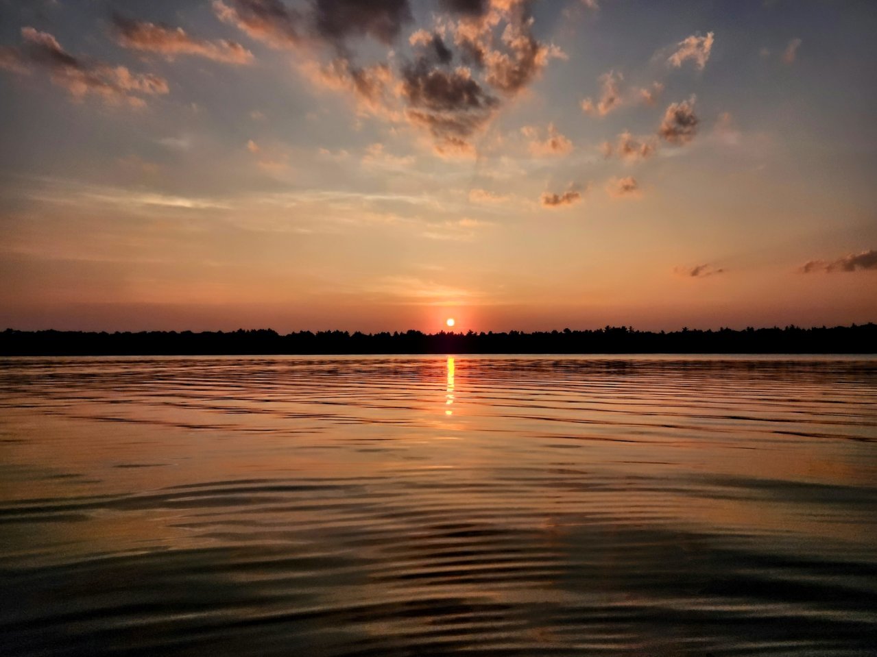 20230621_202805~2.jpg