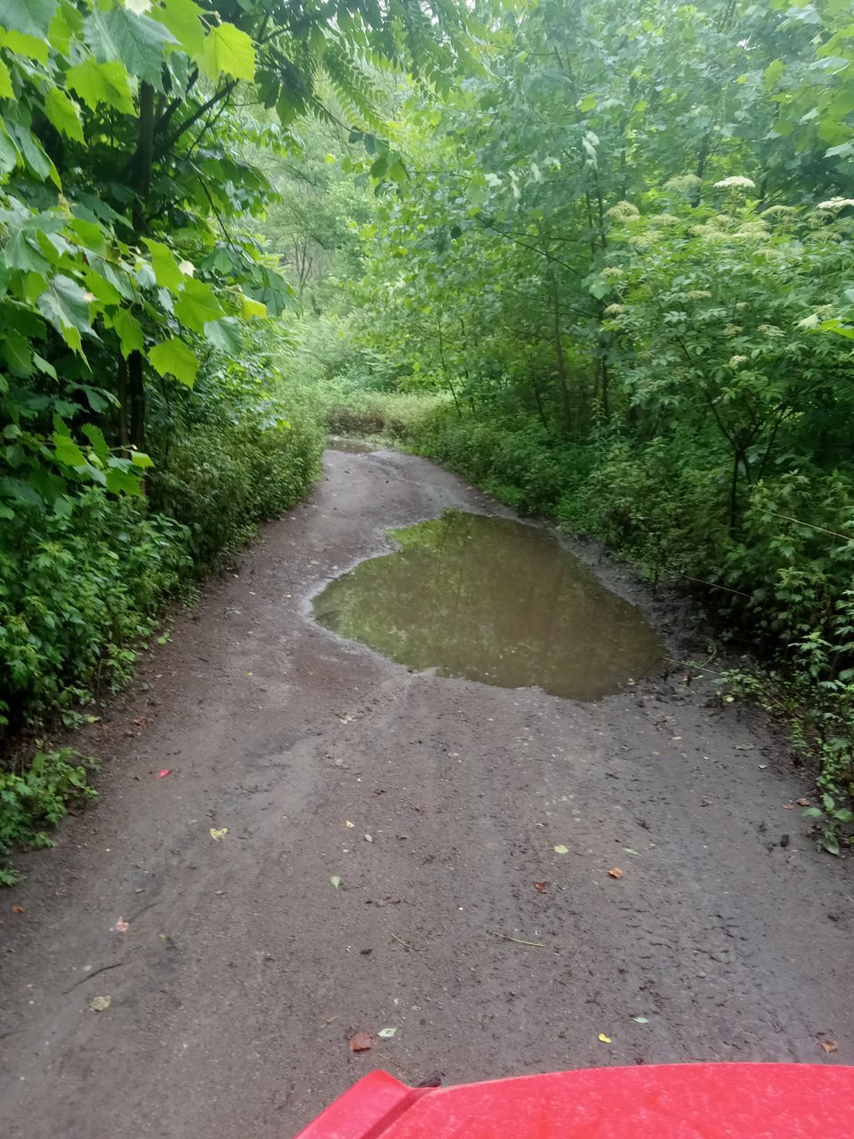 20230623_090032.jpg