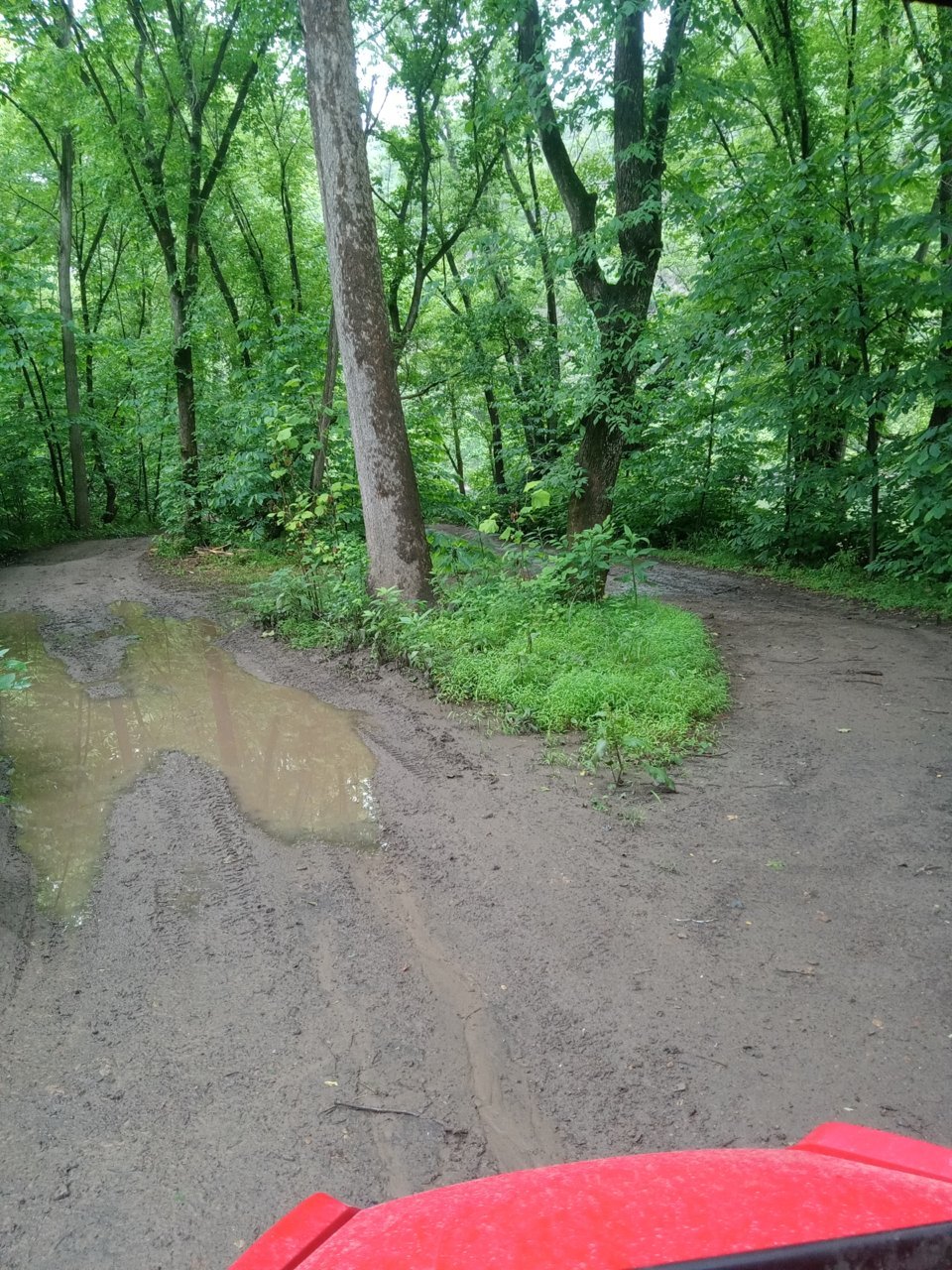 20230623_090114.jpg