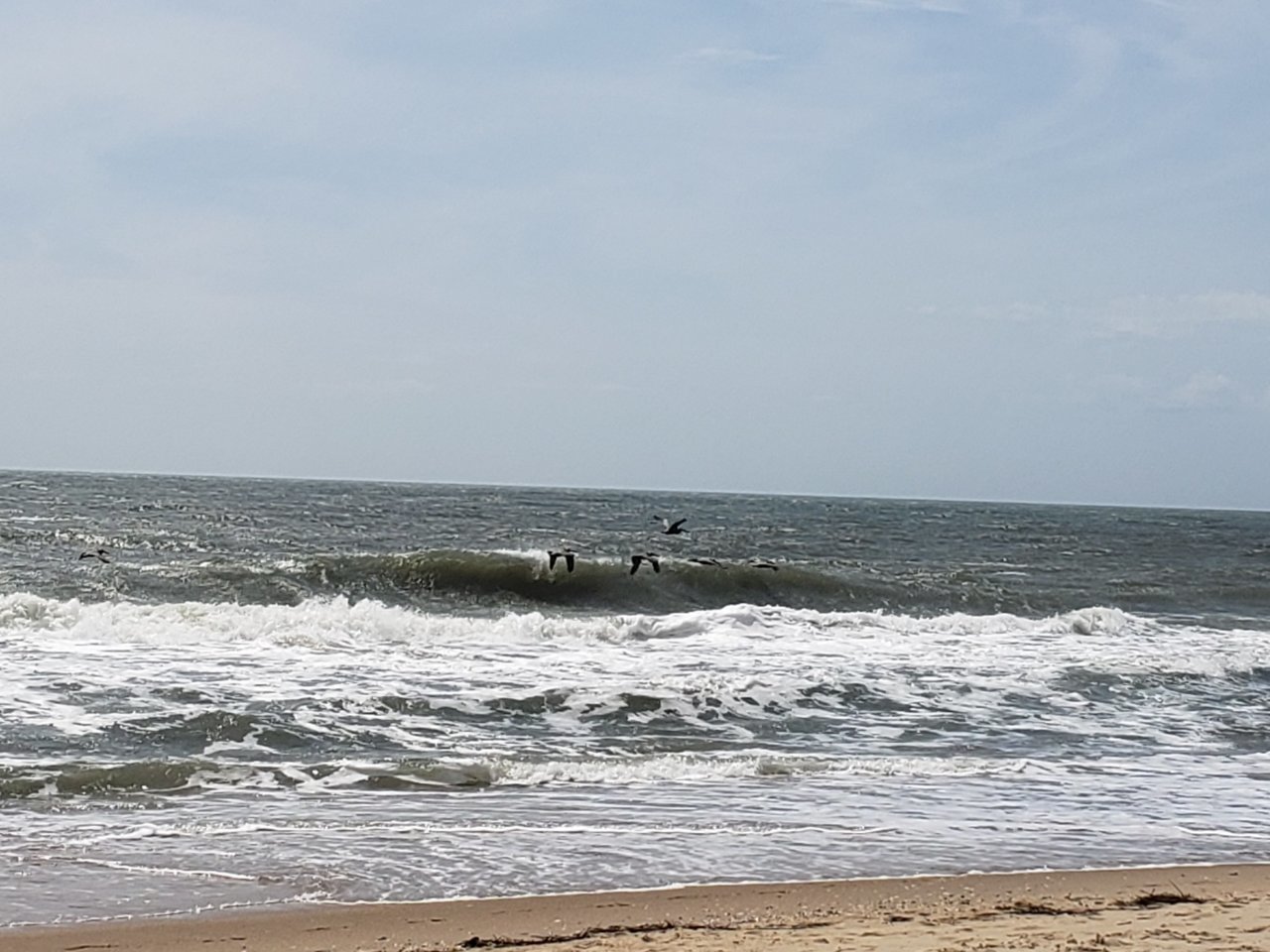 20230623_122713.jpg