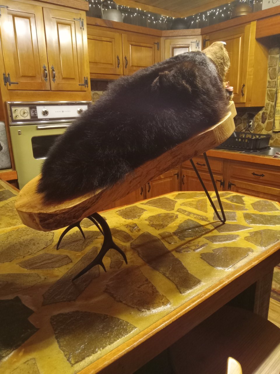 20230623_155415.jpg