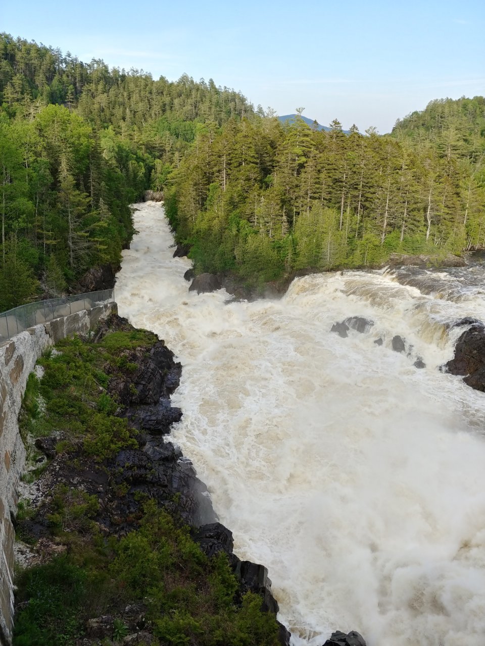 20230623_184515_HDR.jpg