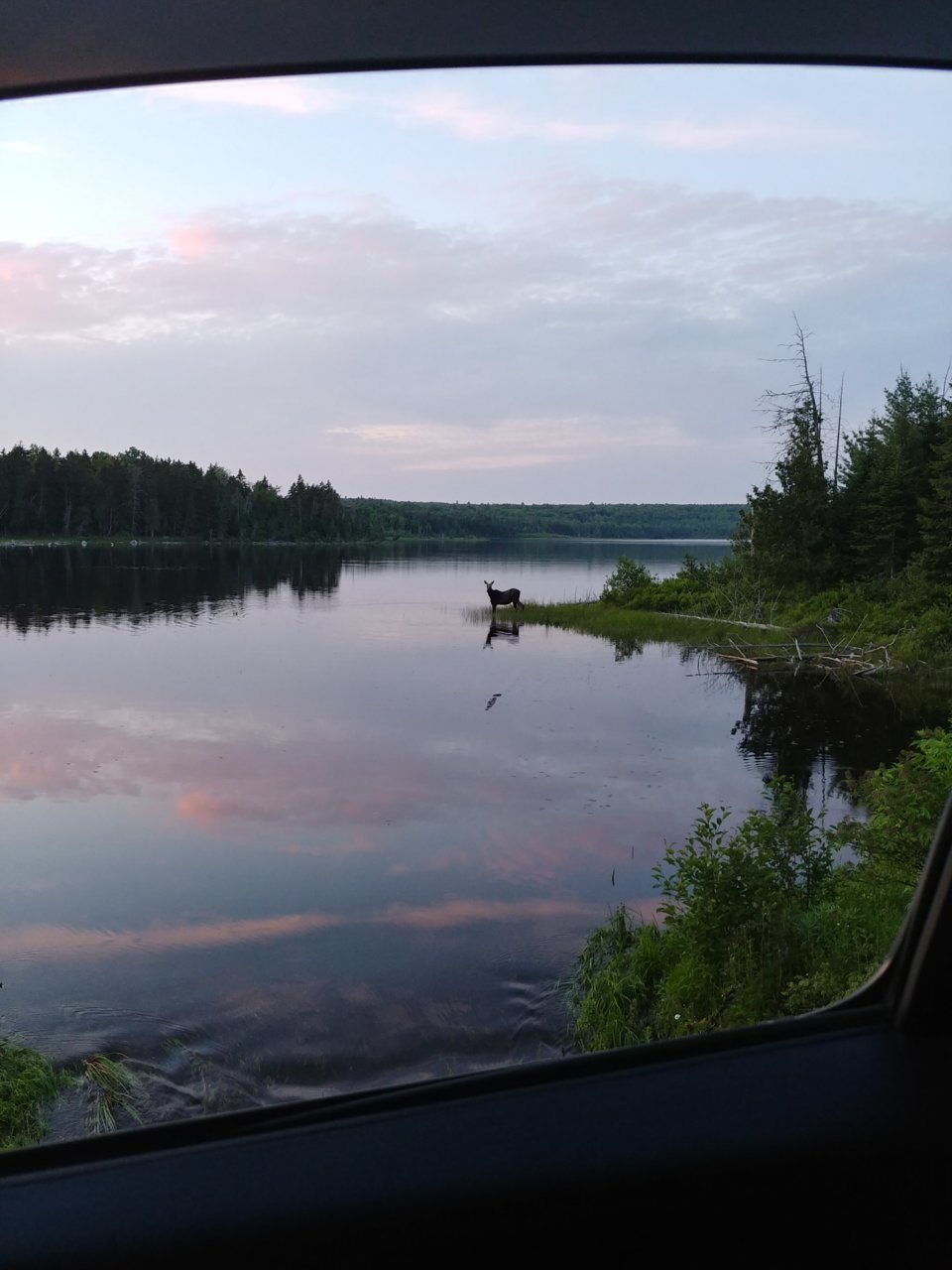 20230623_204226_HDR.jpg