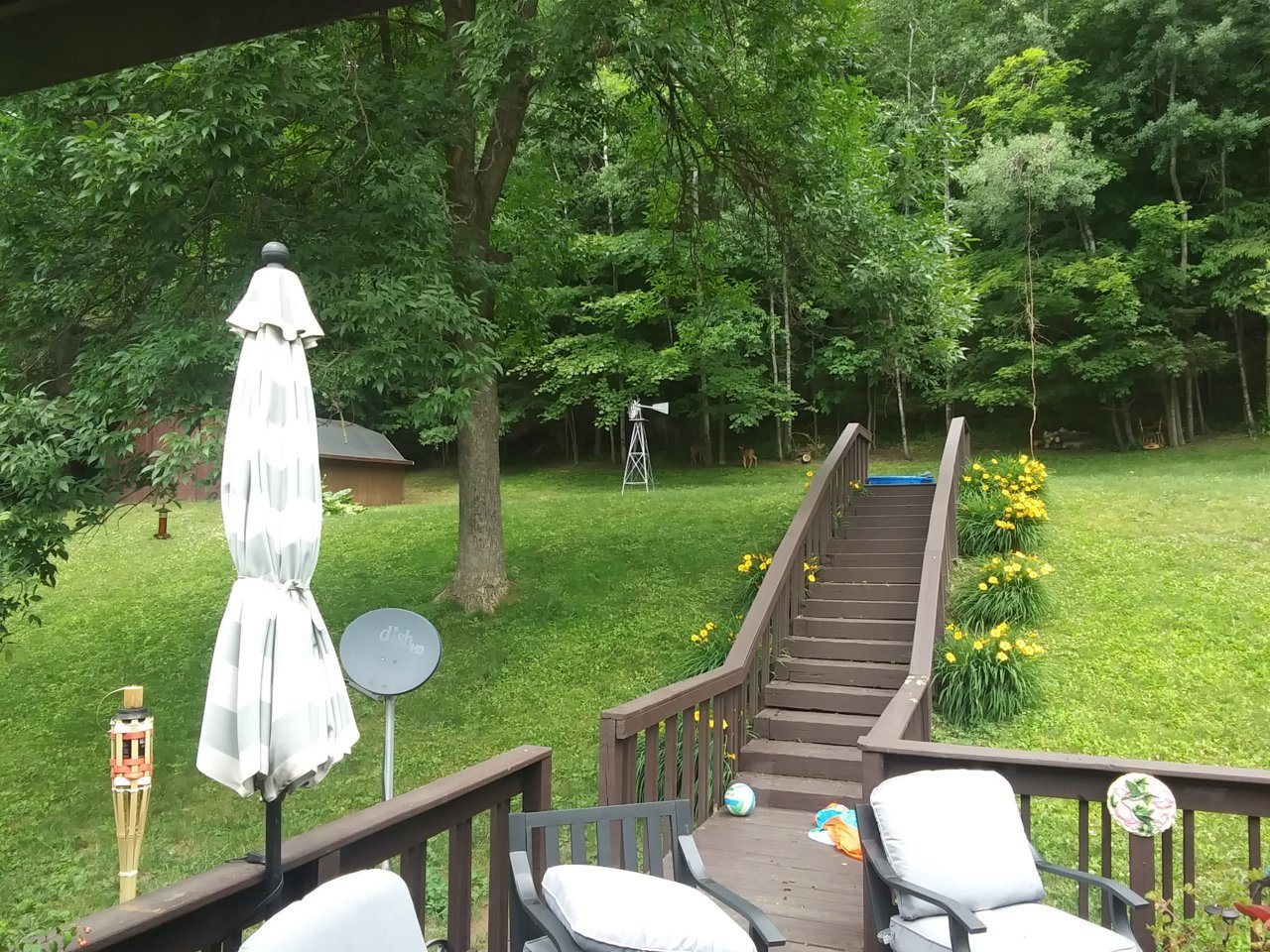 20230624_124249.jpg