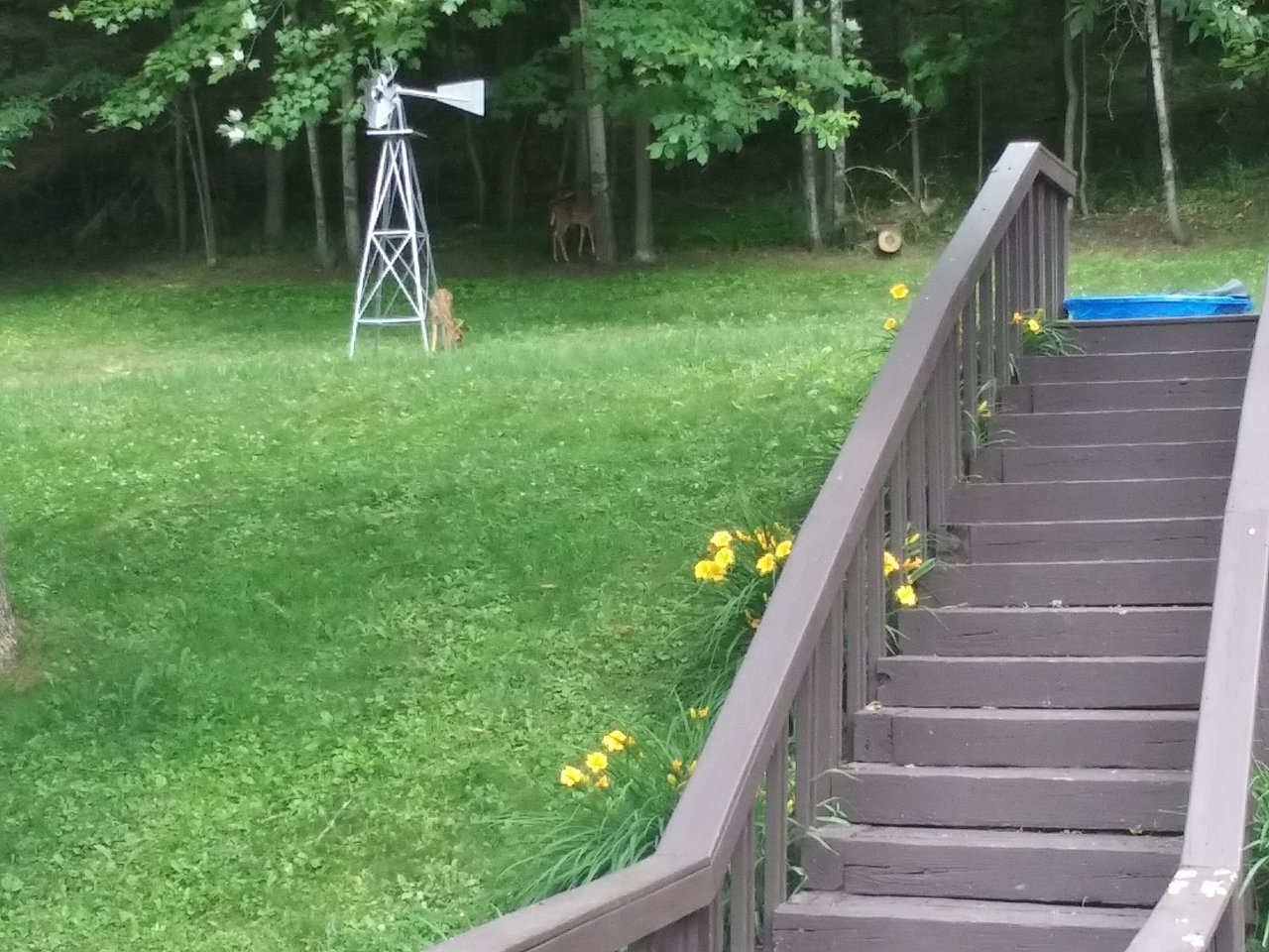 20230624_124309.jpg