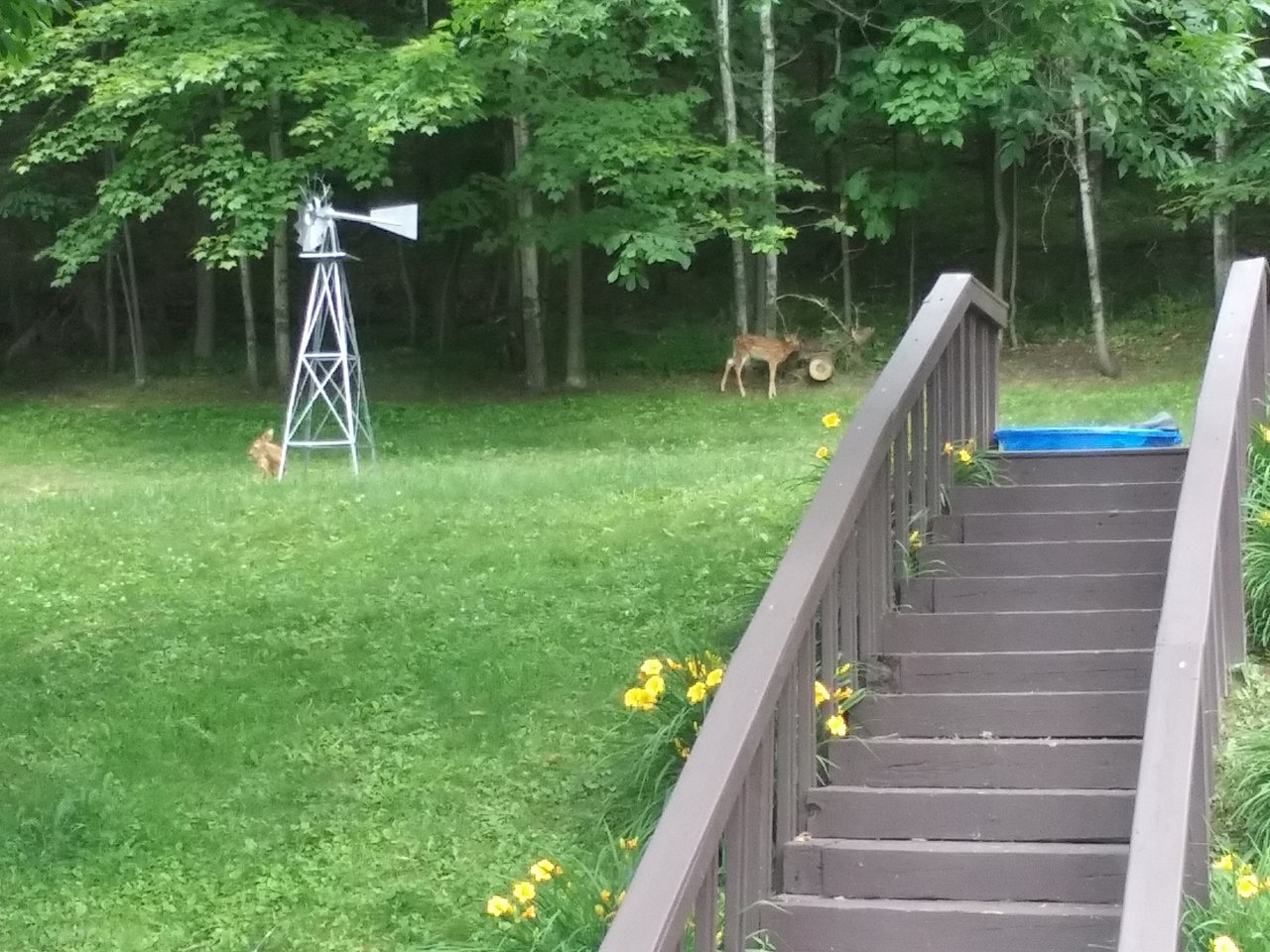 20230624_124334.jpg