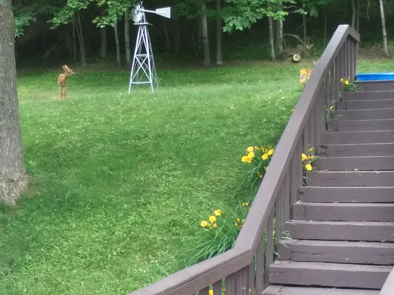 20230624_124425.jpg
