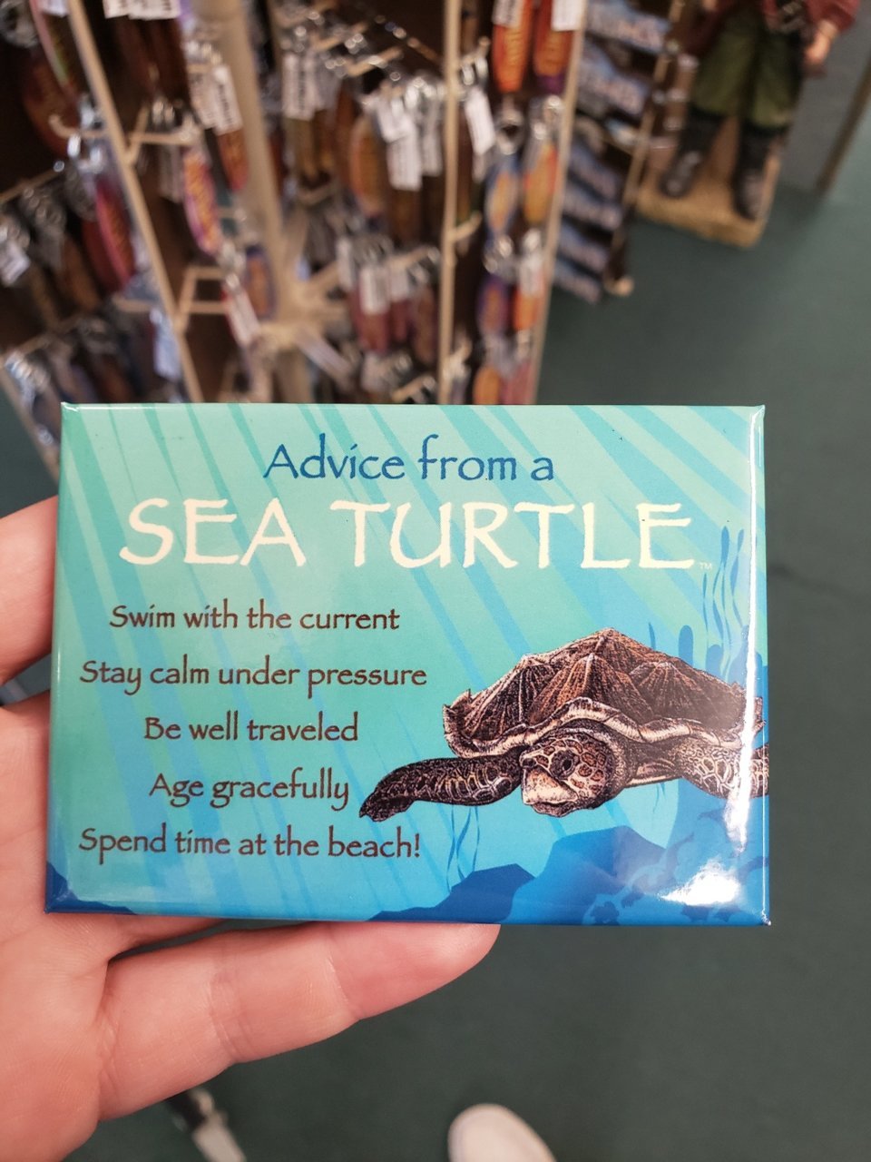 20230624_155015.jpg