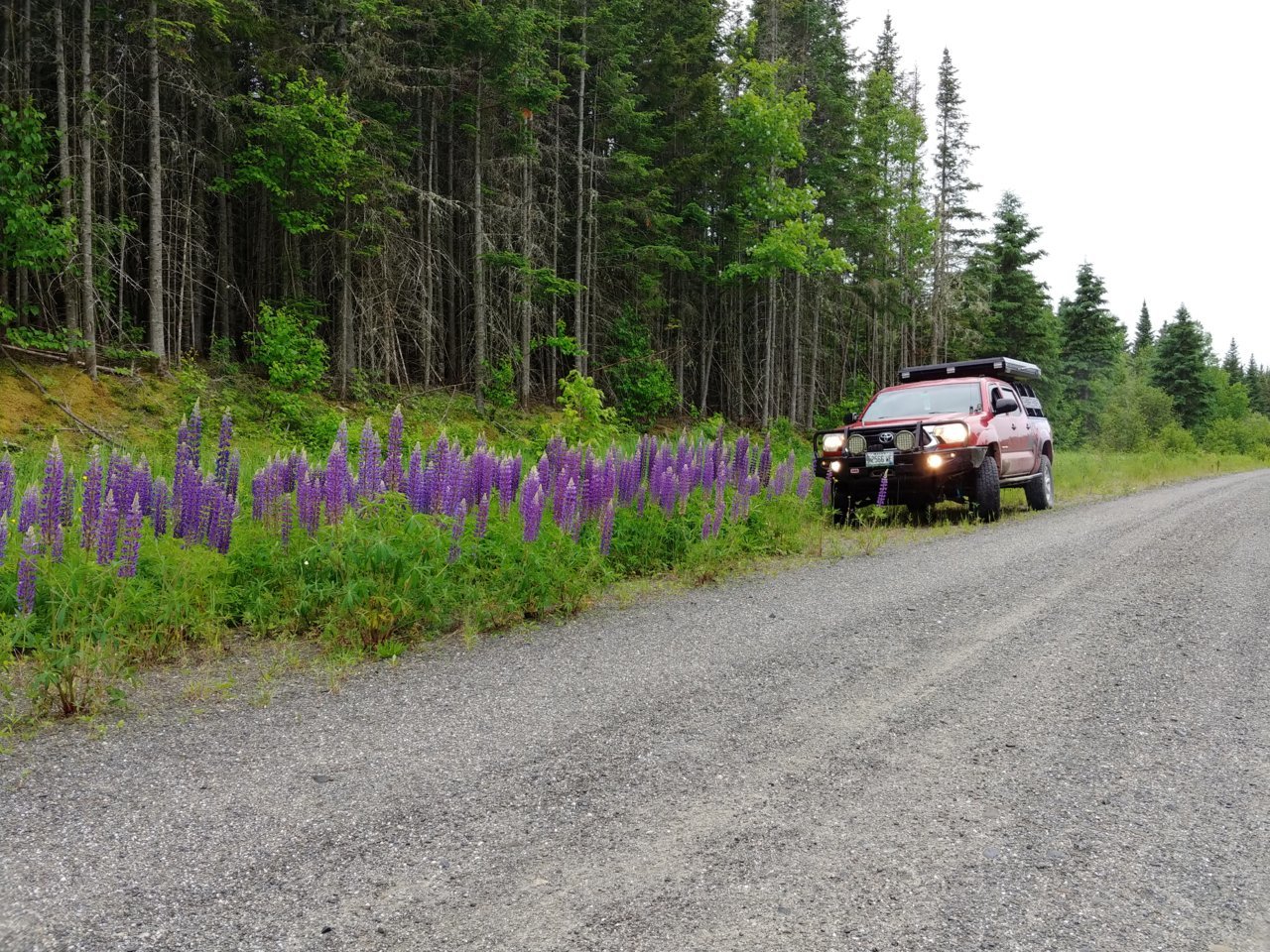 20230624_161017_HDR.jpg