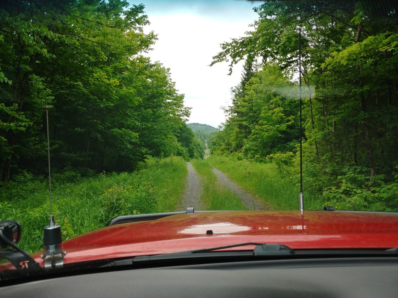 20230625_095647_HDR.jpg