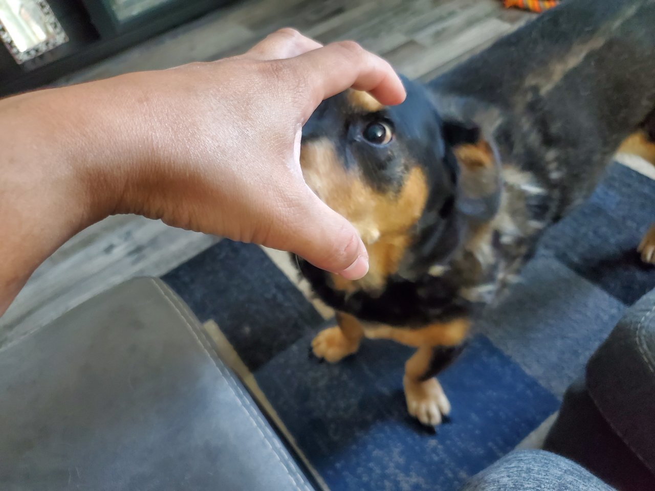20230626_090106.jpg
