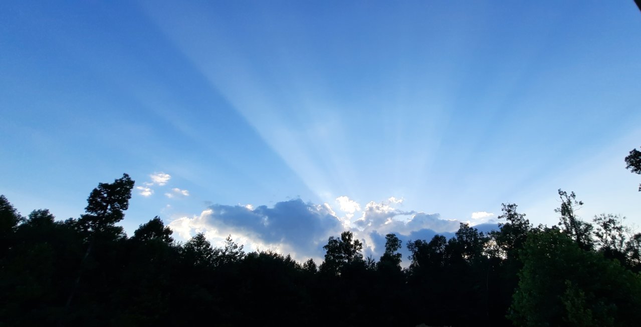 20230626_201455.jpg