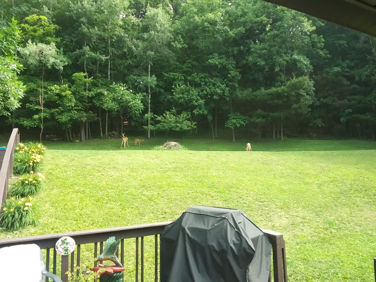 20230628_101757.jpg