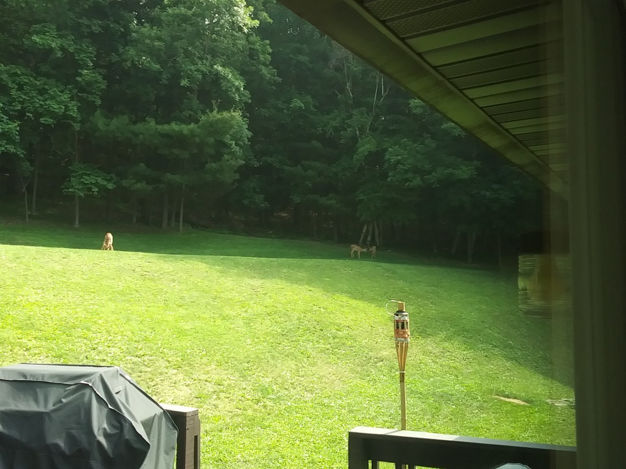 20230628_101907.jpg