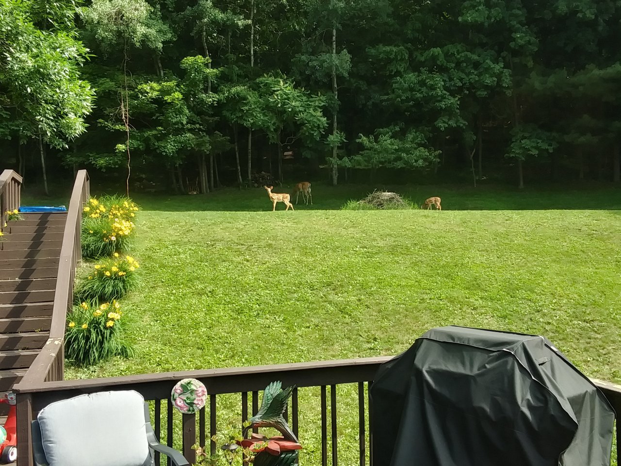 20230628_101953_HDR.jpg