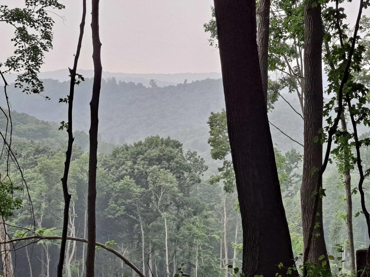 20230628_175405.jpg