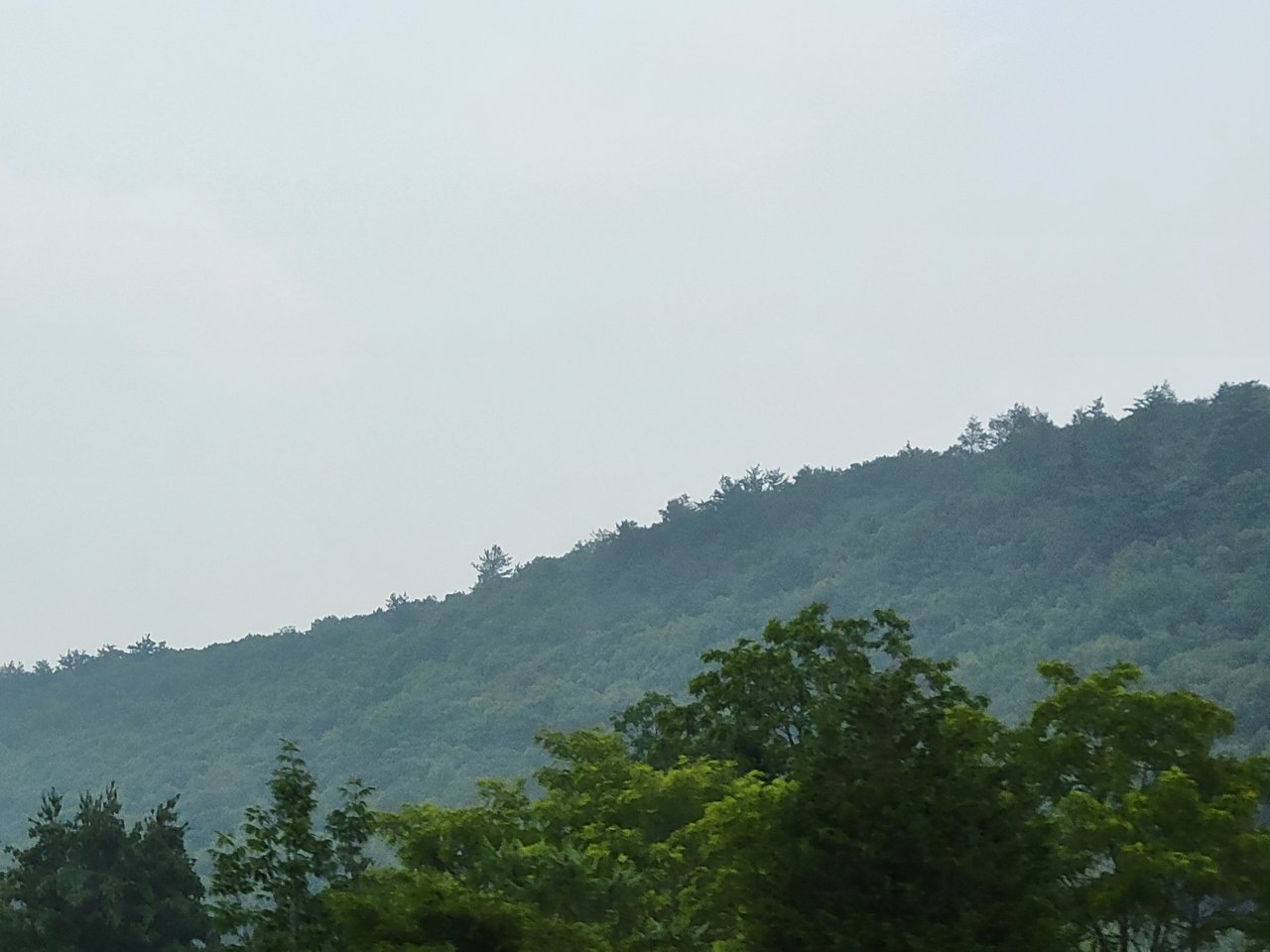 20230630_143325.jpg