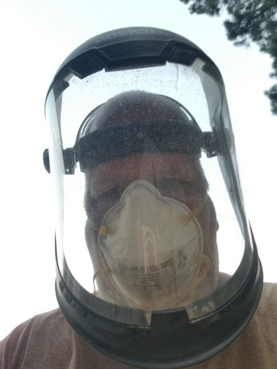 20230630_201952.jpg